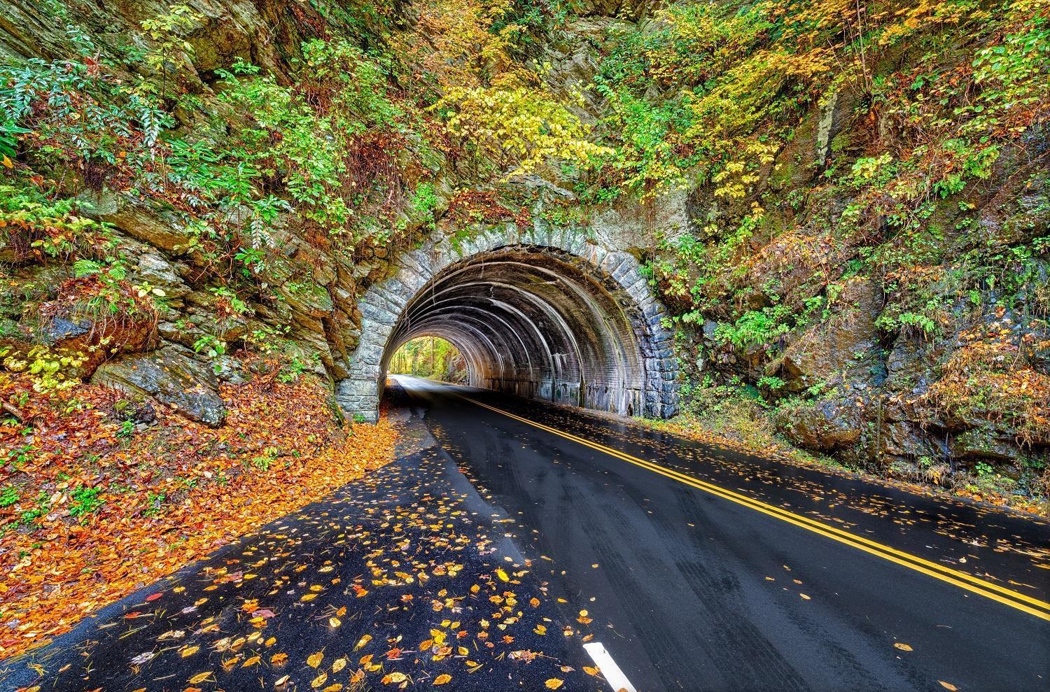 Key Lime Pie, Hot Tub,Wifi, 1089 Free Tickets Each Paid Day, Dollywood And More Гатлинбург Экстерьер фото