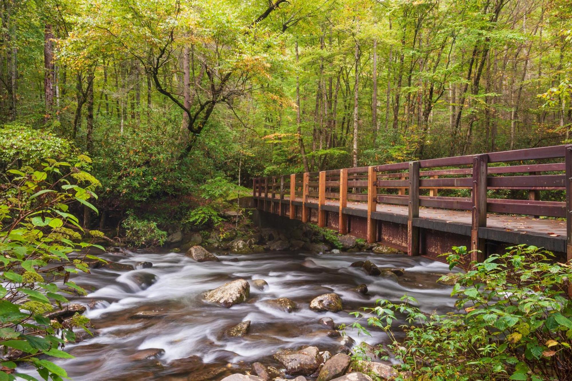 Key Lime Pie, Hot Tub,Wifi, 1089 Free Tickets Each Paid Day, Dollywood And More Гатлинбург Экстерьер фото